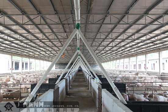 [玉林環(huán)保行]養(yǎng)殖污水循環(huán)利用 高架網床高效環(huán)保