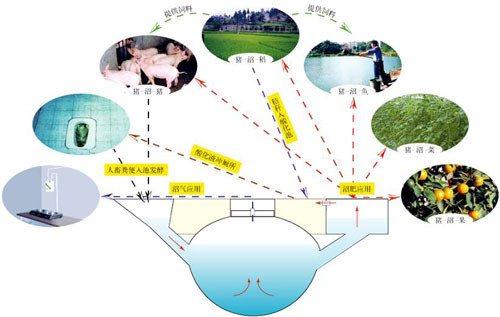 “豬-沼-果”等“三結合”生態(tài)農業(yè)模式 - 富硒幫 - 富硒幫物理農業(yè)博客