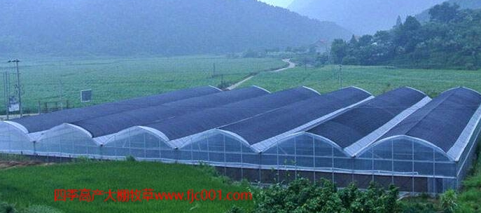使用大棚種植高吸水吸肥能力的牧草消耗養(yǎng)殖場(chǎng)的糞污，成本低，操作簡(jiǎn)單，帶來(lái)的效益非常顯著
