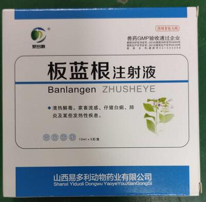 板藍(lán)根注射液，清熱解毒。家畜流感、仔豬白痢，肺炎及某些發(fā)熱性疾患。--山西易多利