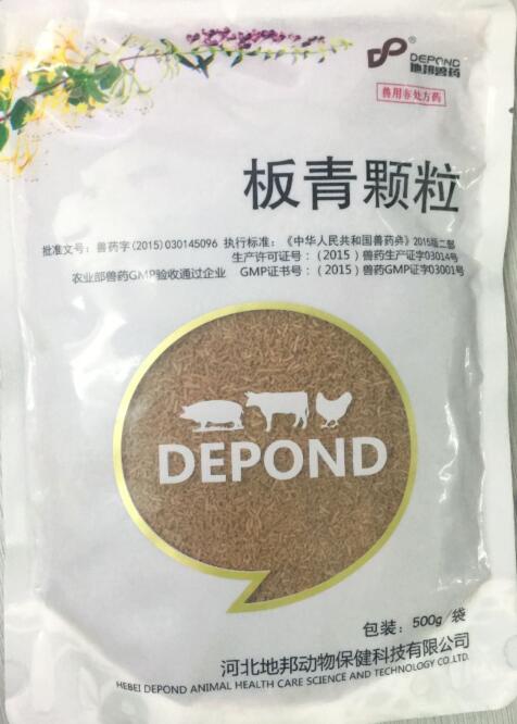 板青顆粒-清熱解毒，涼血。主治風(fēng)熱感冒，咽喉腫痛，熱病發(fā)斑。-河北地邦