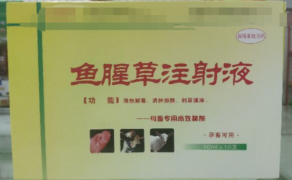 魚腥草注射液，清熱解毒，消腫排濃，利尿通琳，乳房脹痛，排尿不暢等