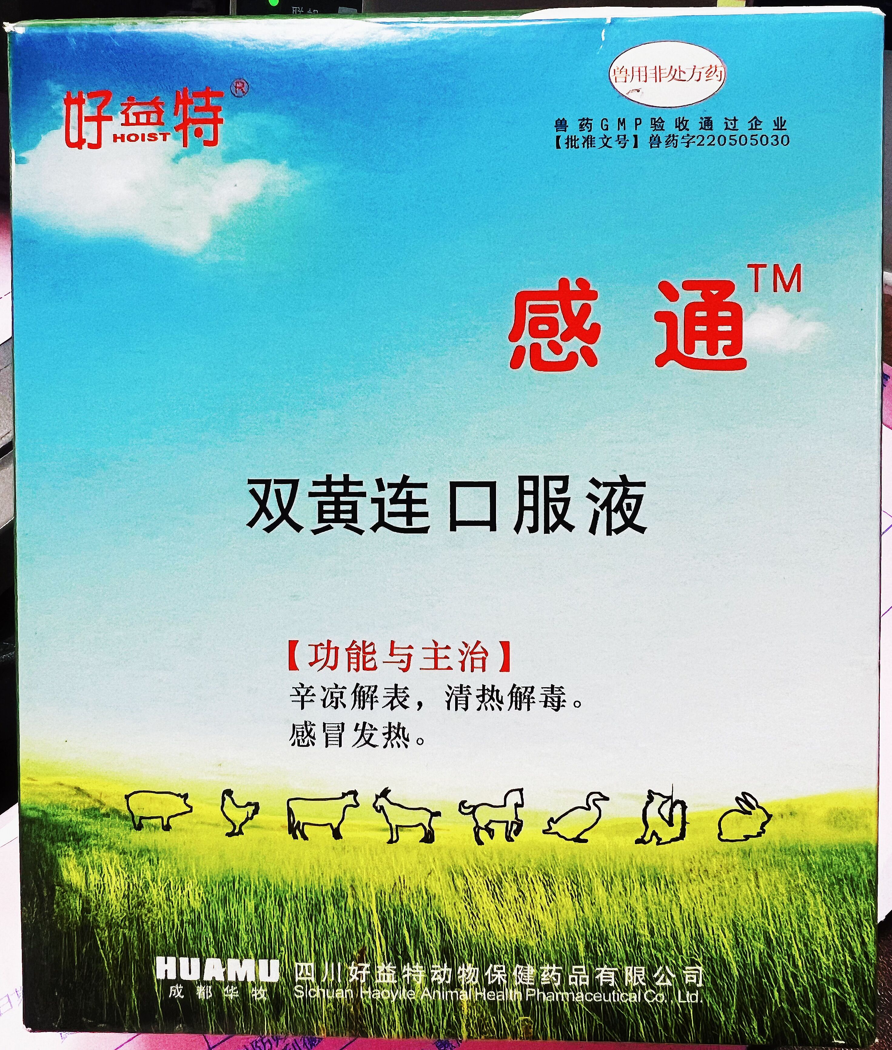 雙黃連口服液，辛涼解表，清熱解毒，感冒發(fā)熱，體溫升高，發(fā)熱與惡寒同時(shí)并見(jiàn)
