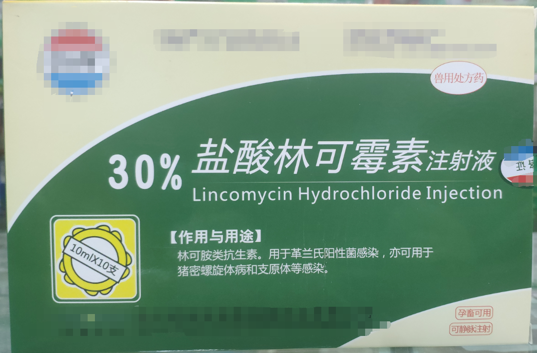 30%林可霉素注射液，用于革蘭氏陽(yáng)性菌感染，亦用于母蓄的產(chǎn)后消炎，亦可用于豬密螺旋體和支原體感染