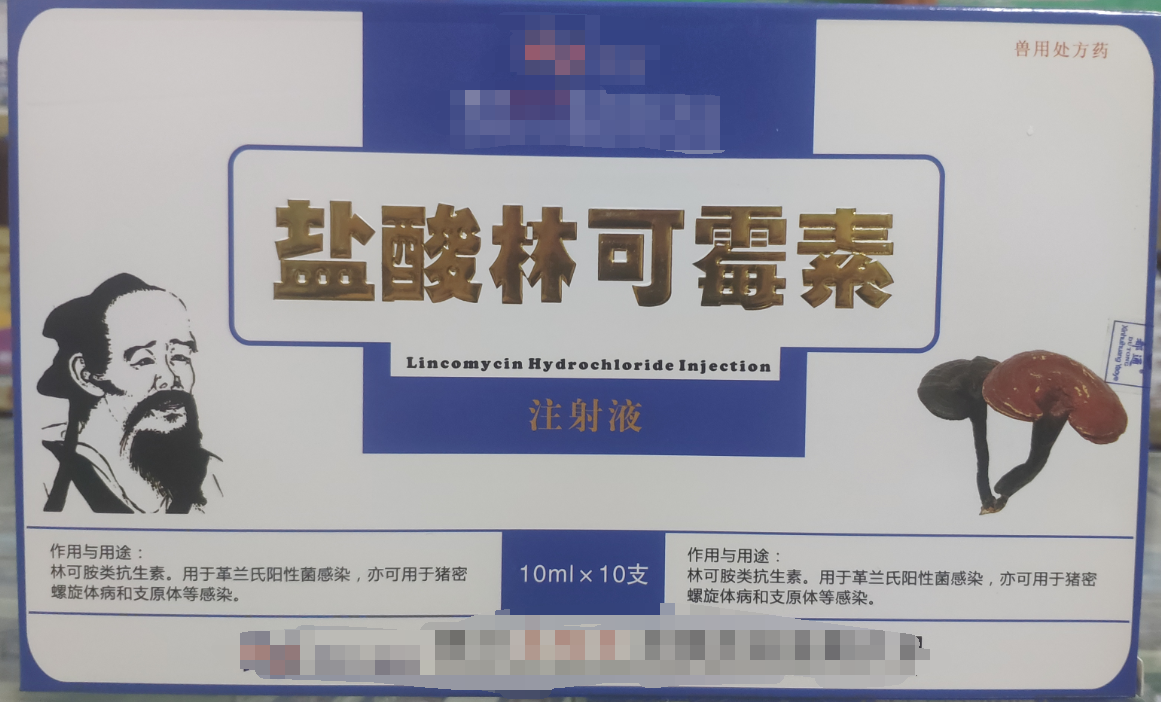 林可霉素注射液，用于革蘭氏陽性菌感染，亦可用于豬密螺旋體和支原體感染