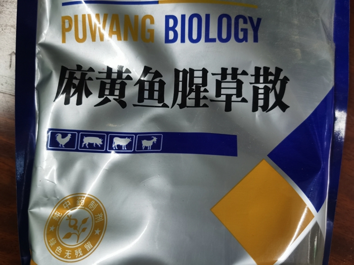 麻黃魚腥草散--肺熱咳喘、雞支原體病，胸膜肺炎與支原體混合感染