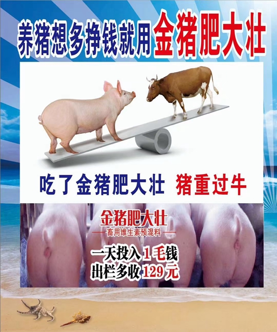 養(yǎng)豬想多掙錢就用金豬肥大壯--1天投入1毛錢，提前出欄13天，多長20斤，就是牛