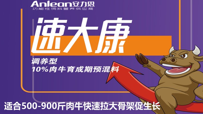 安力恩——速達康調(diào)養(yǎng)型10%肉牛育成期預(yù)混料-適合500-900斤肉?？焖倮蠊羌艽偕L