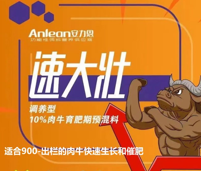 安力恩——速達壯調(diào)養(yǎng)型10%肉牛育成期預(yù)混料-適合900-出欄的肉?？焖偕L和催肥