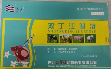 雙丁注射液——清熱解毒、抗菌消炎、消腫排膿、利尿通淋