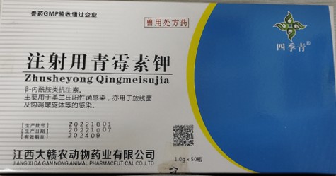 注射用青霉素鉀（160萬），治療呼吸道感染、豬丹毒、炭疽病毒、敗血癥，肺疫、惡性水腫、腹膜炎、膿腫等
