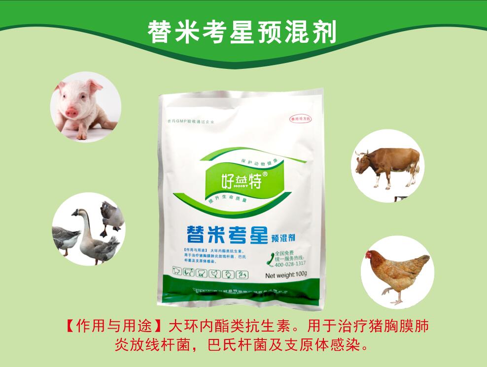 替米考星粉，呼吸道病更好的抗生素，主要防治家畜肺炎(由胸膜肺炎放線桿菌、巴氏桿菌、支原體等感染引起)、禽支原體病及泌乳動(dòng)物的乳腺炎。