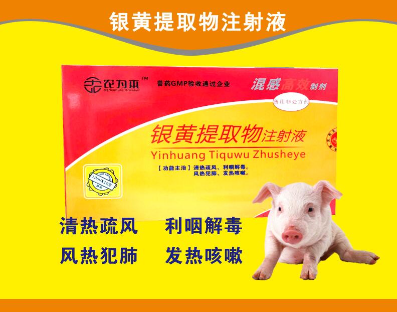 銀黃提取物注射液--混感高效，清熱疏風(fēng)，利咽解毒，風(fēng)熱范肺，發(fā)熱咳嗽。