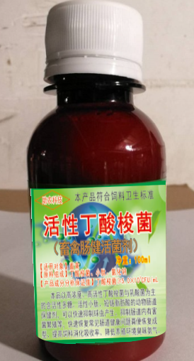 活性丁酸梭菌（畜禽腸健活菌劑100毫升裝），腸道保健益生菌中的佼佼者，頑固性腹瀉快速解決方案產(chǎn)品