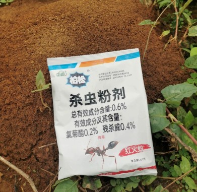 紅火蟻紅螞蟻殺蟲(chóng)粉劑螞蟻藥紅火蟻紅螞蟻野外殺蟲(chóng)粉劑家用