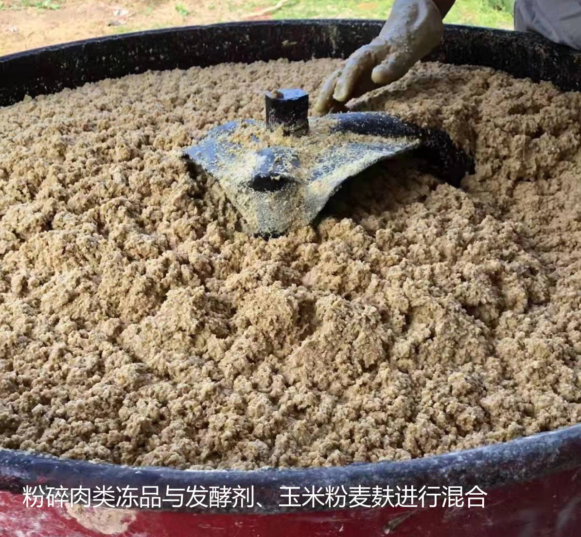 粉碎肉類凍品與發(fā)酵劑、玉米粉麥麩進行混合.jpg
