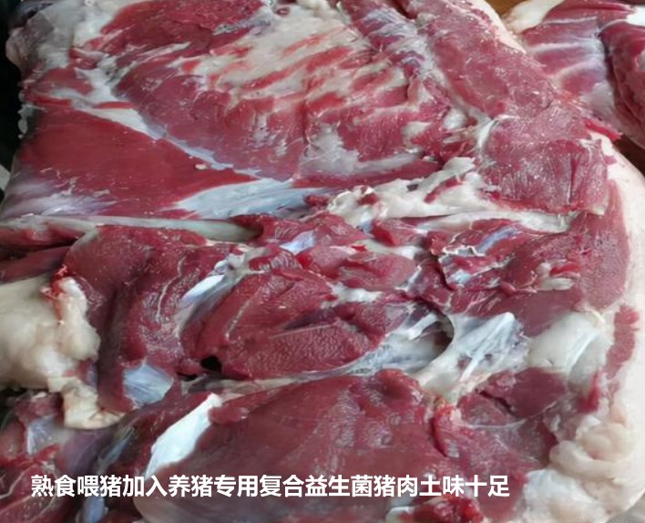 熟食喂豬加入養(yǎng)豬專(zhuān)用復(fù)合益生菌豬肉土味十足.jpg