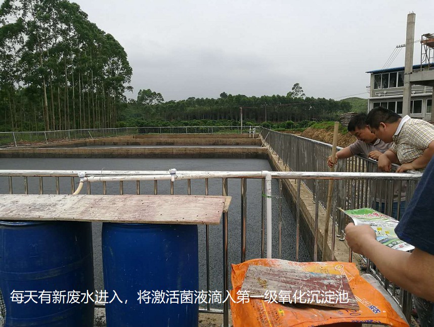 每天有新廢水進(jìn)入，將激活菌液滴入第一級(jí)氧化沉淀池.jpg