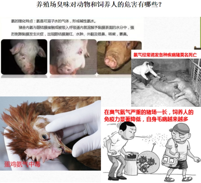 微信截圖_20250113154629.jpg