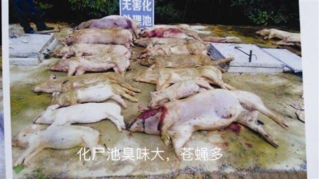 微信圖片_20250113170724.jpg