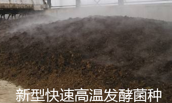 高熱腐熟菌（案例發(fā)酵現(xiàn)場(chǎng)1）.png