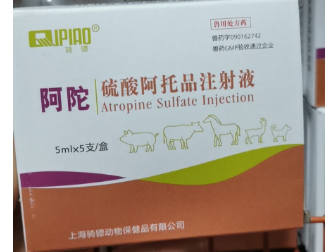 截圖20250206100427.png