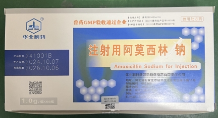 微信截圖_20250211100025.jpg
