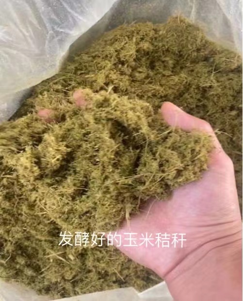 微信圖片_20250212105508.jpg