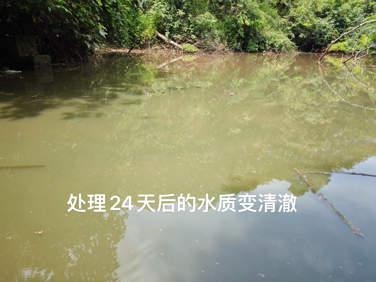 微信圖片_20250218104804.jpg