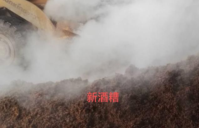 酒糟6.jpg