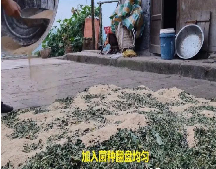 QQ圖片20250409150525.png
