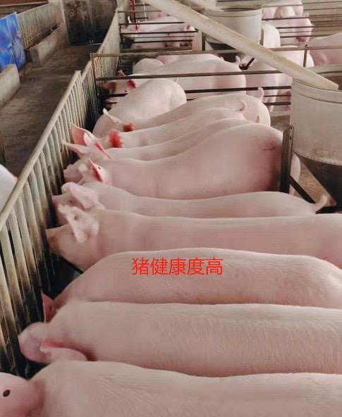 微信圖片_20250418110651.jpg