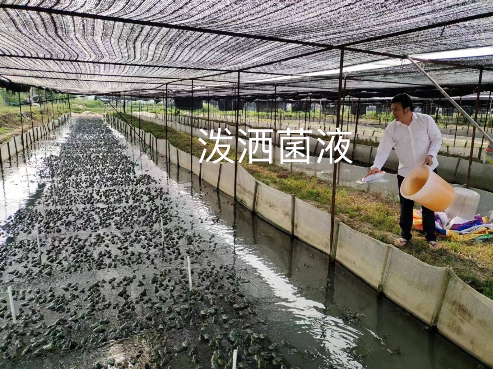 微信圖片_20250423162357.jpg