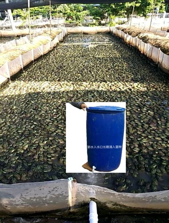 微信圖片_20250423161116.jpg