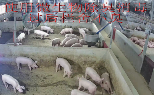 截圖20250528092910.png