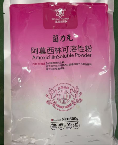 阿莫西林.png
