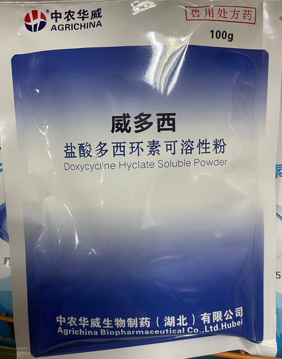 9D911B056C561DB669CACD5D687FE09D.png