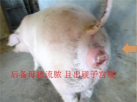 微信圖片_20250611112014.jpg