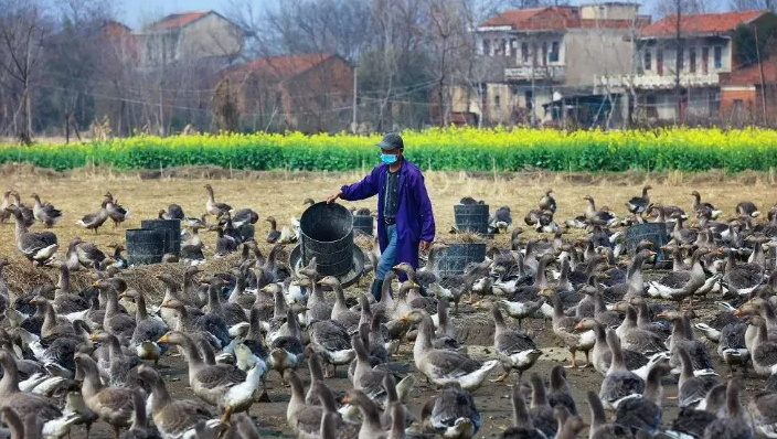 QQ圖片20230303123437.png