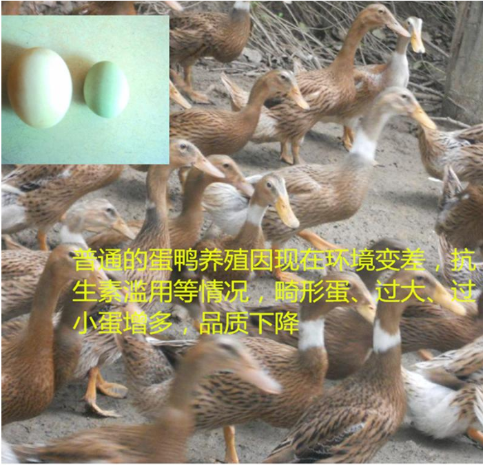 截圖20250723100259.png