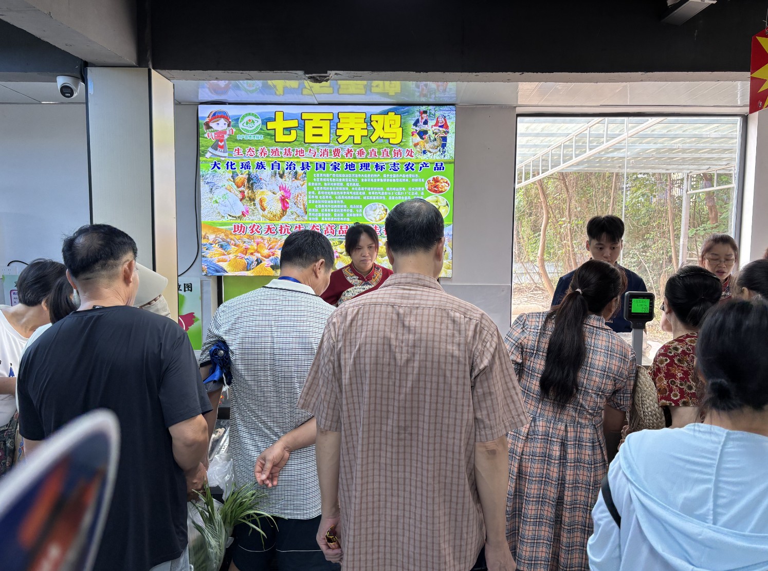 七百弄雞南寧銷售.jpg