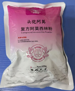 QQ圖片20250730103823.png