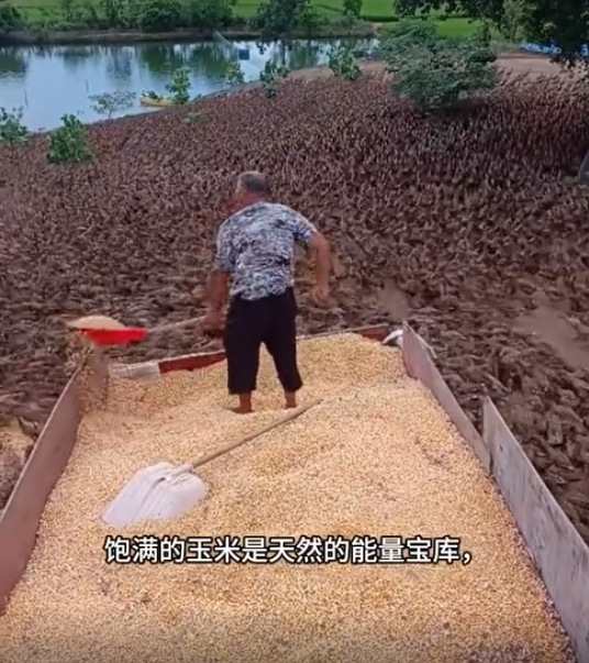 截圖20250805101303.png