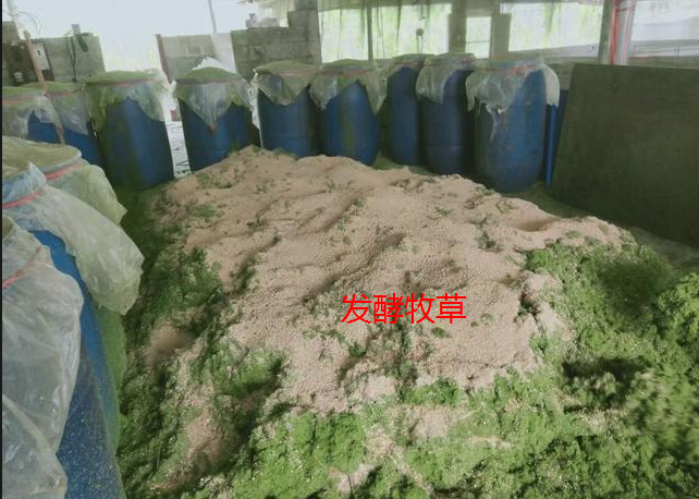 截圖20250814094351.png