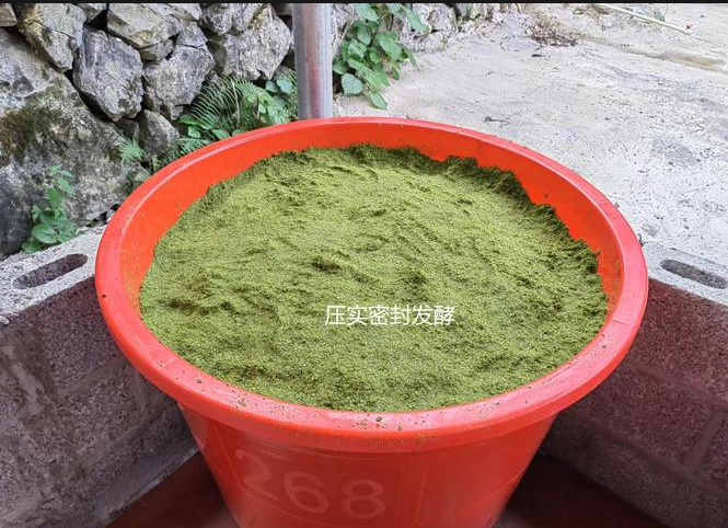 截圖20250820091357.png