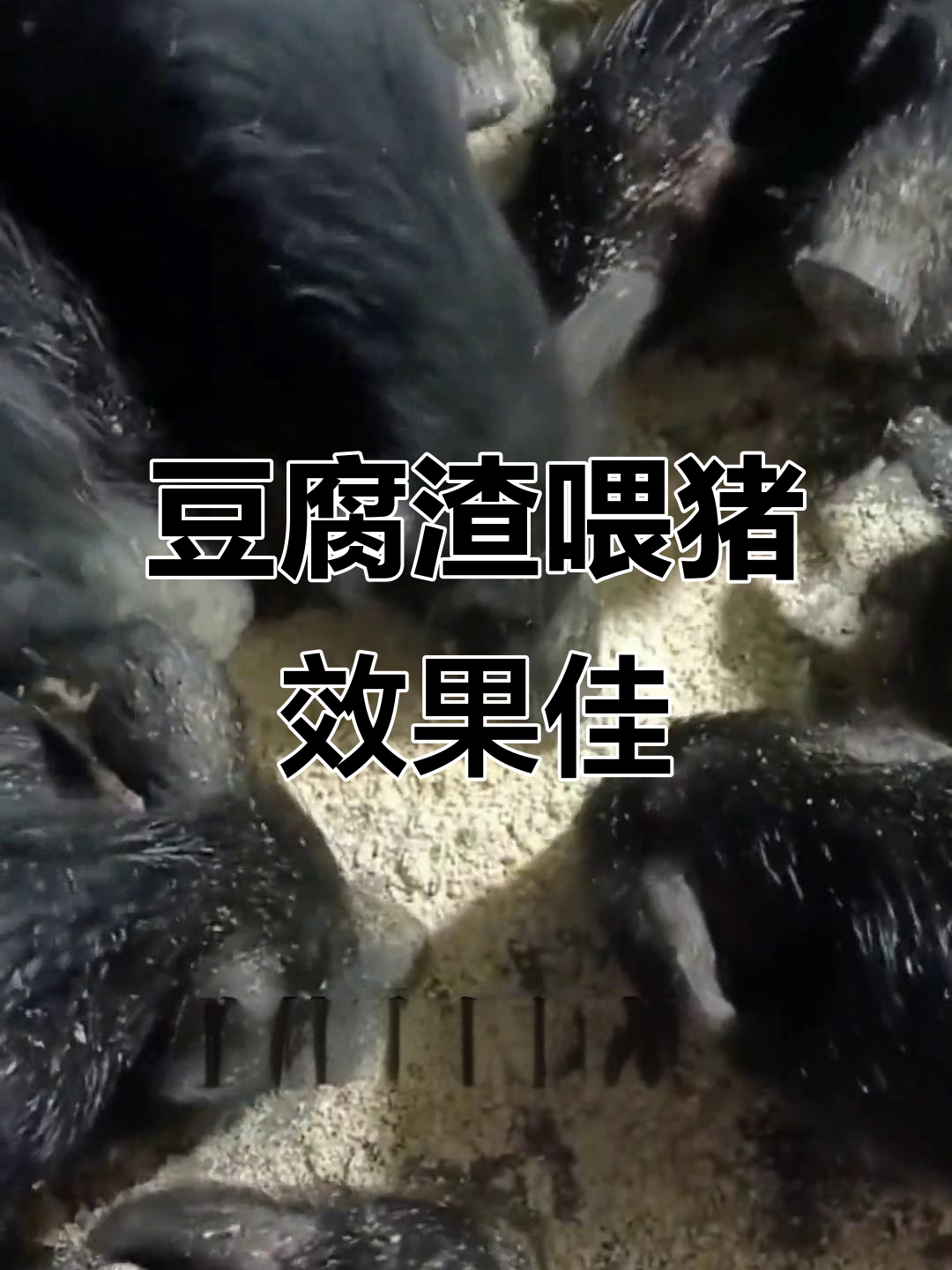 380a0baccd94d404ef08de39772e981f.png