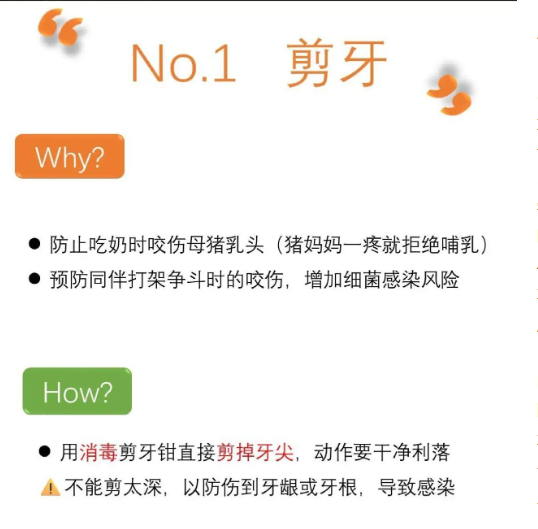 截圖20250903091710.png