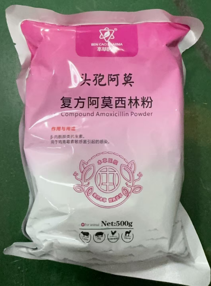 583cdd13-f144-45e3-9346-519e7f0233bd.png