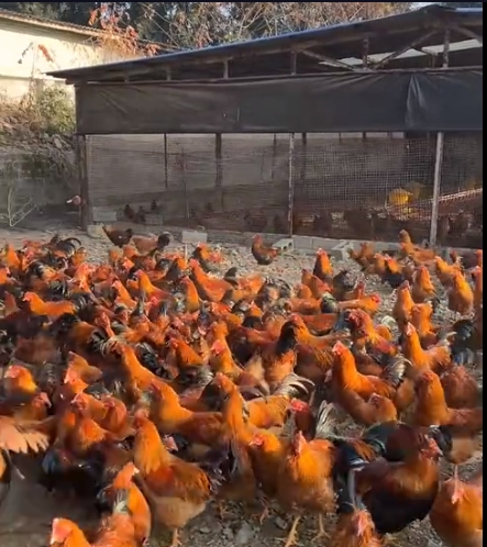 微信截圖_20251023085416.png
