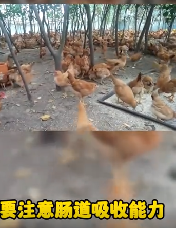 截圖20251030091832.png